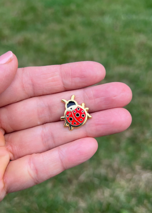 LadyBug Pin