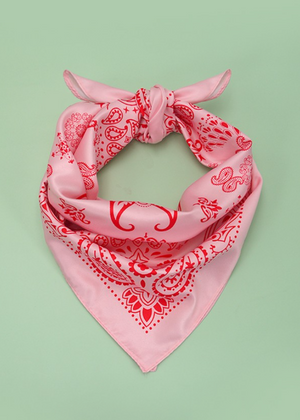 Pink Scarf