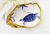 Shell Assortment