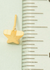 Fame Stud Earrings