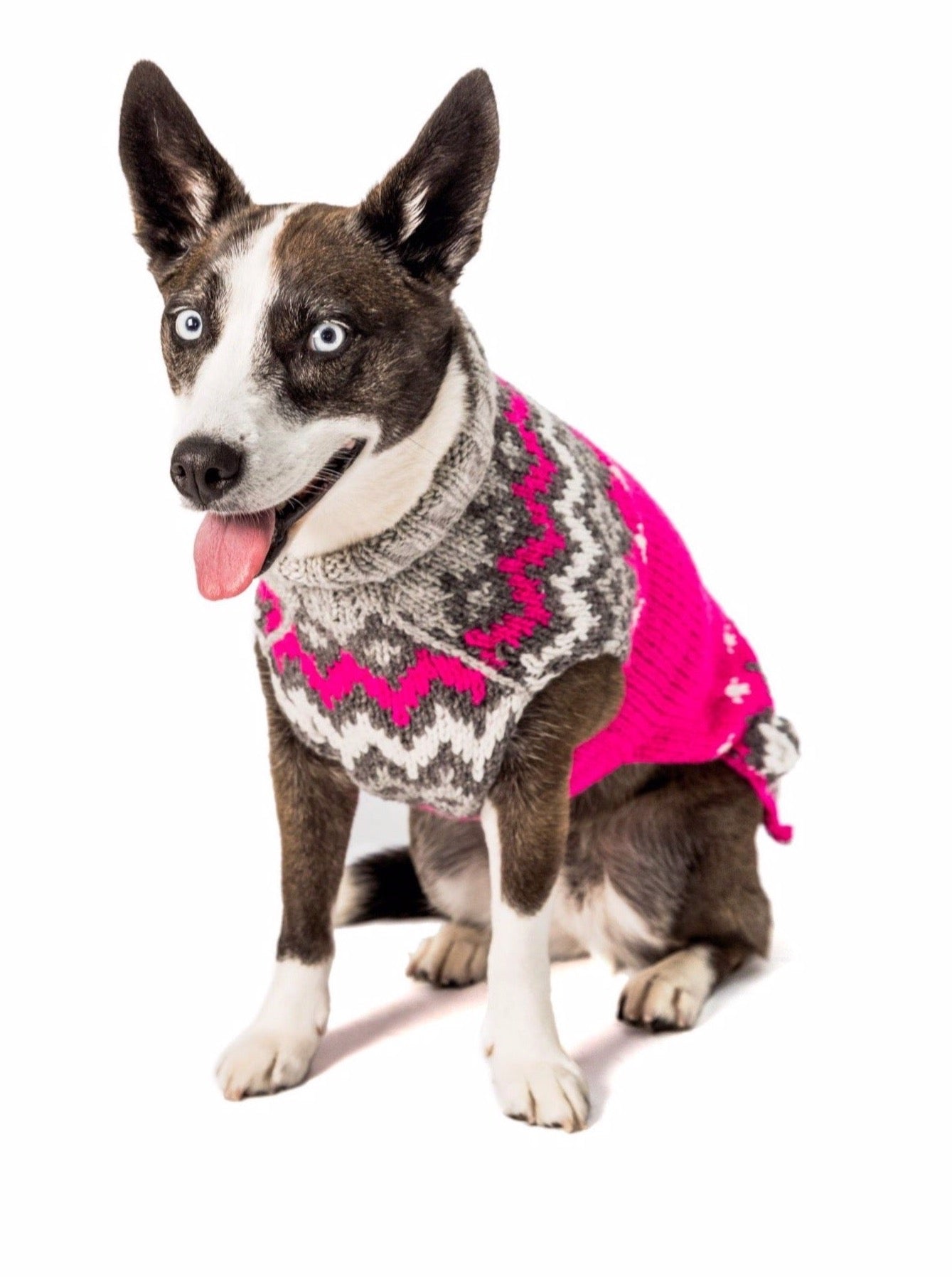 Lola Dog Sweater