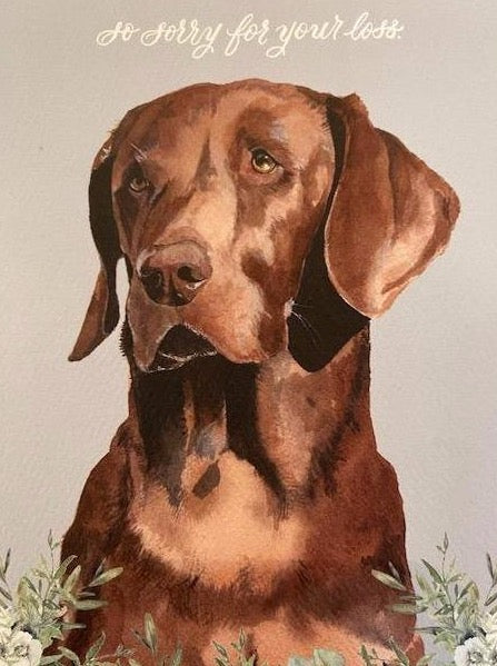 So Sorry For Your Loss - Dog