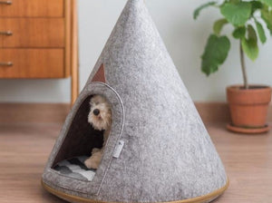 Millie Dog Tent